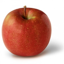 Nasiona Jabłko słodkie szt.5 Nxx49